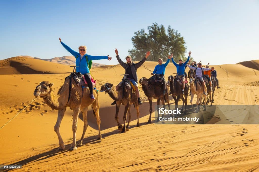 Sunset Desert Safari